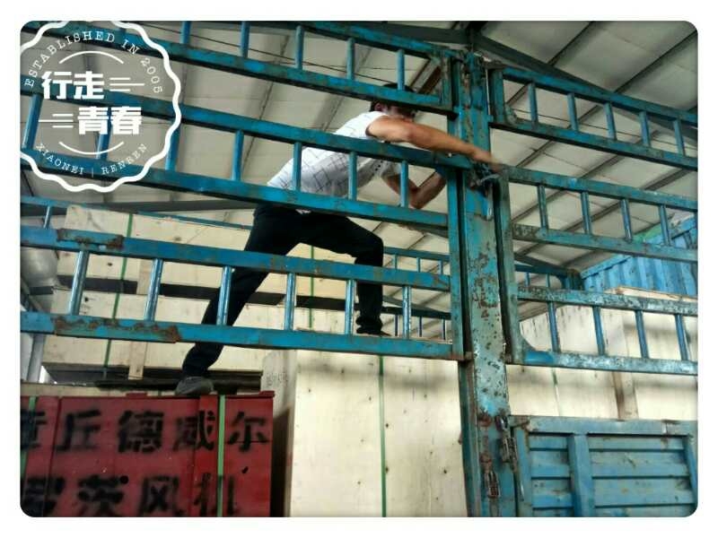 三叶（标准型）罗茨风机发货图六