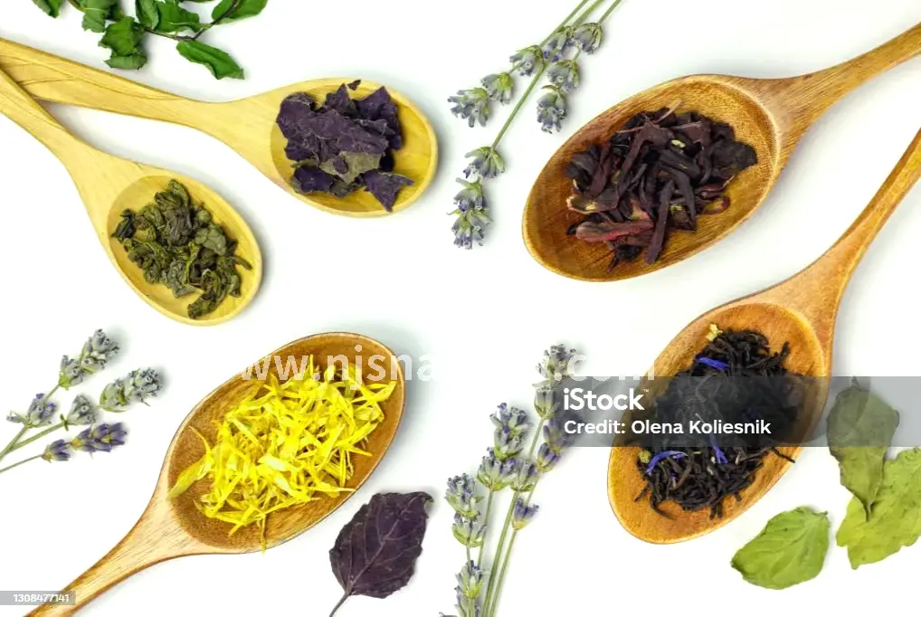 血液循环