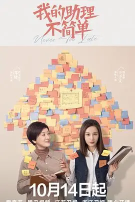 《我的助理不简单》：职场菜鸟逆袭记，看社恐少女如何玩转高压事务所！