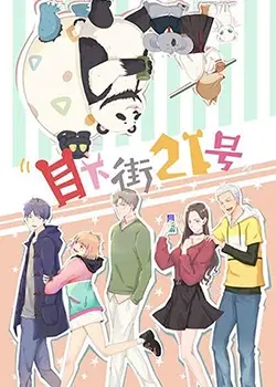 《目下街21号》：爆笑喜剧来袭，小人物的逆袭之路，笑到停不下来！